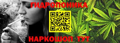 амф Гудермес