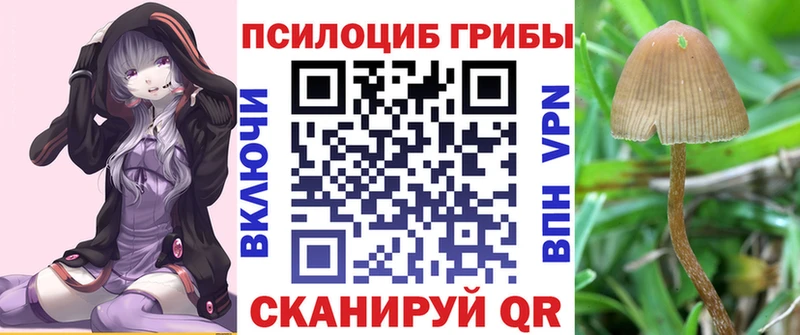 мориарти телеграм  Брянск  Галлюциногенные грибы GOLDEN TEACHER  MEGA зеркало 
